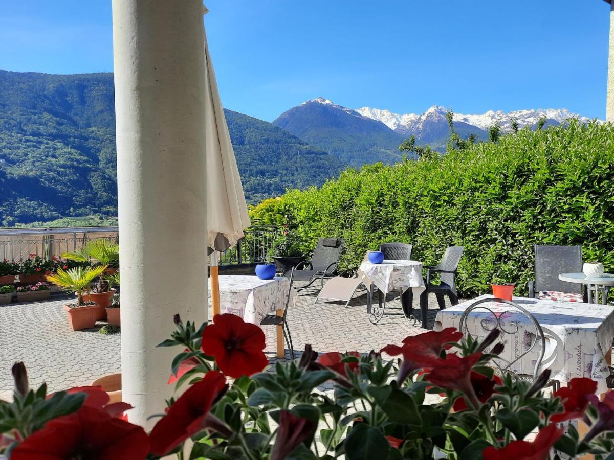 B&B Il Grappolo Bianzone Eksteriør billede