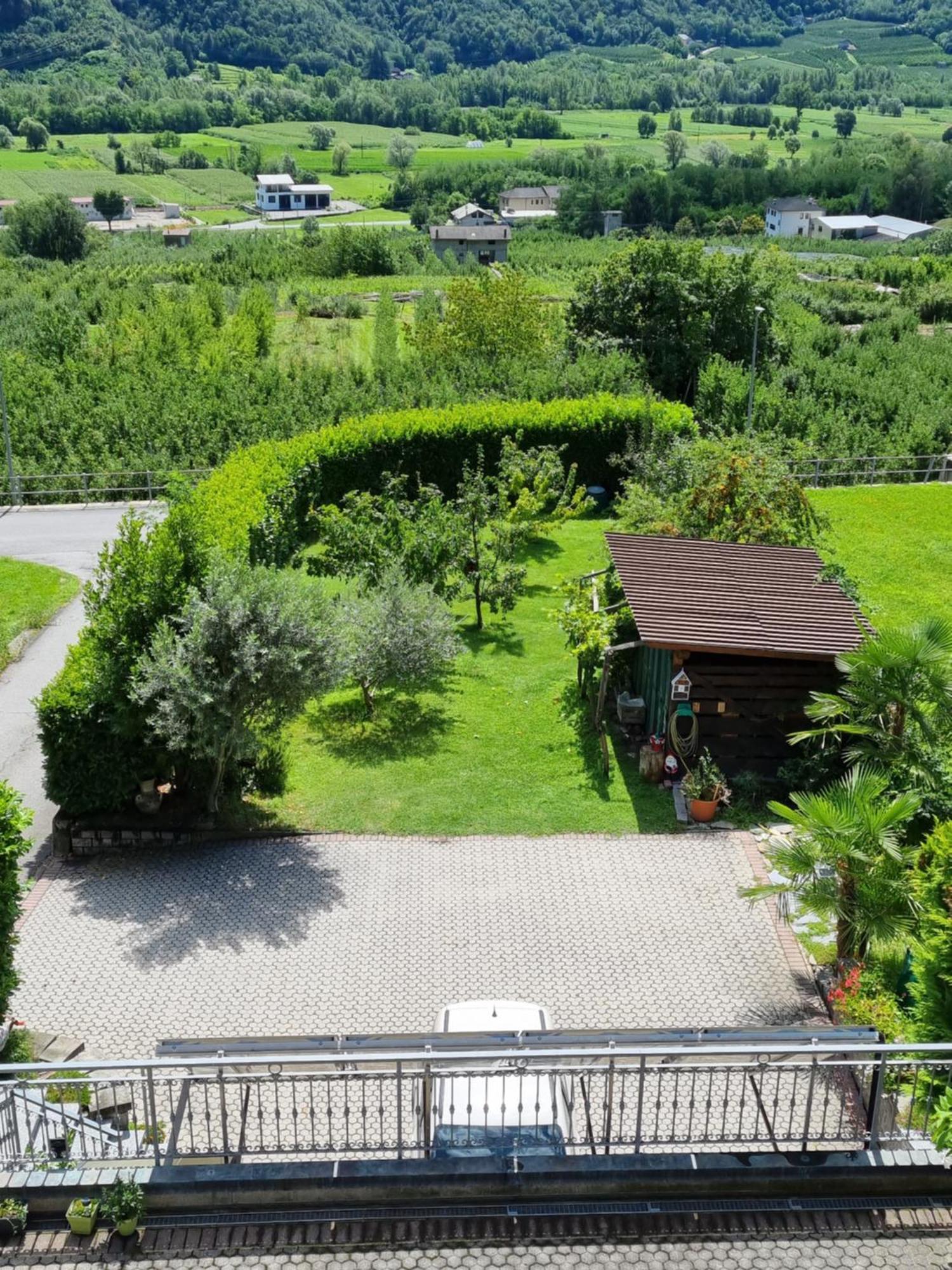 B&B Il Grappolo Bianzone Eksteriør billede